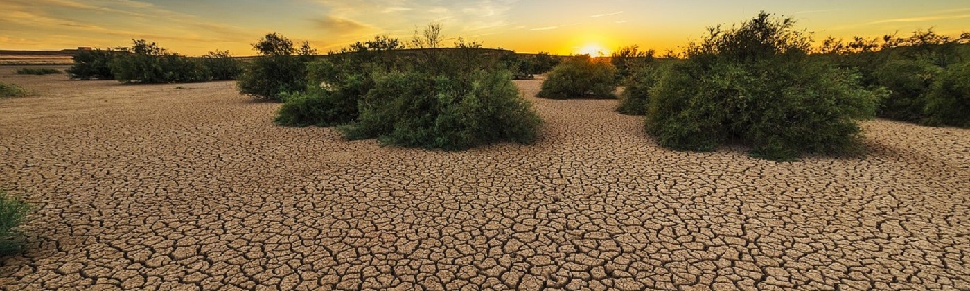 Drought 1400 x 420