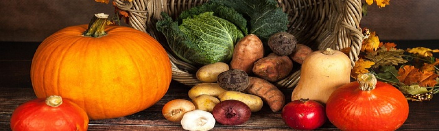 Fruit and vegetable   copy