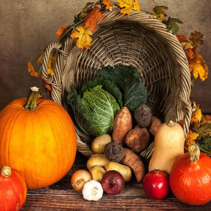 Fruit and vegetable